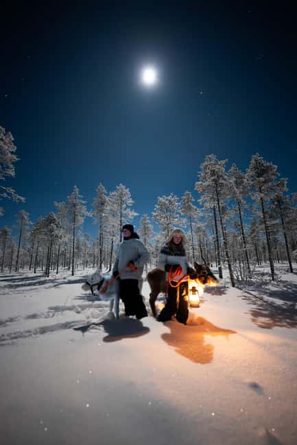 Ranua: Lupland Aurora Activity Park  After Dark Adventure - Snowmobile Sleigh Ride Through the Snowy Forest at Night