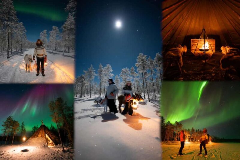 Ranua: Lupland Aurora Activity Park  After Dark Adventure - Campfire Treats and Warm Drinks Under the Night Sky