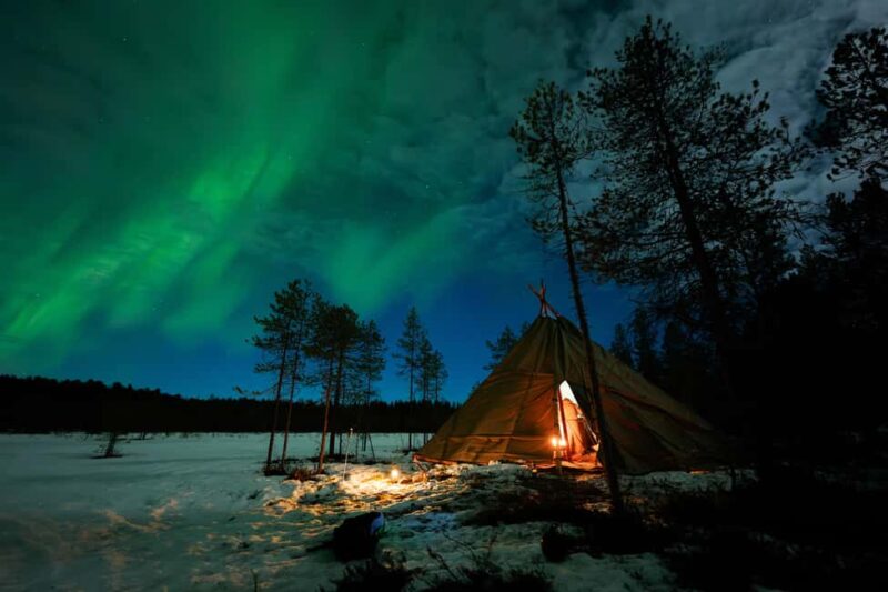 Ranua: Lupland Aurora Activity Park  After Dark Adventure - Clear, Organized Itinerary and Convenient Pickup