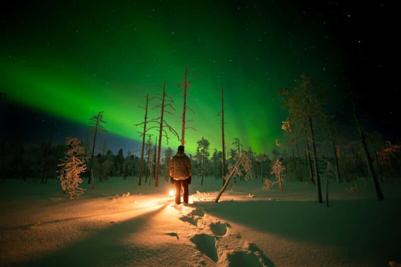 Ranua: Northern Lights tour with Campfire Meal & Pro Camera - Discovering the Best Aurora Viewing Spots Near Ranua