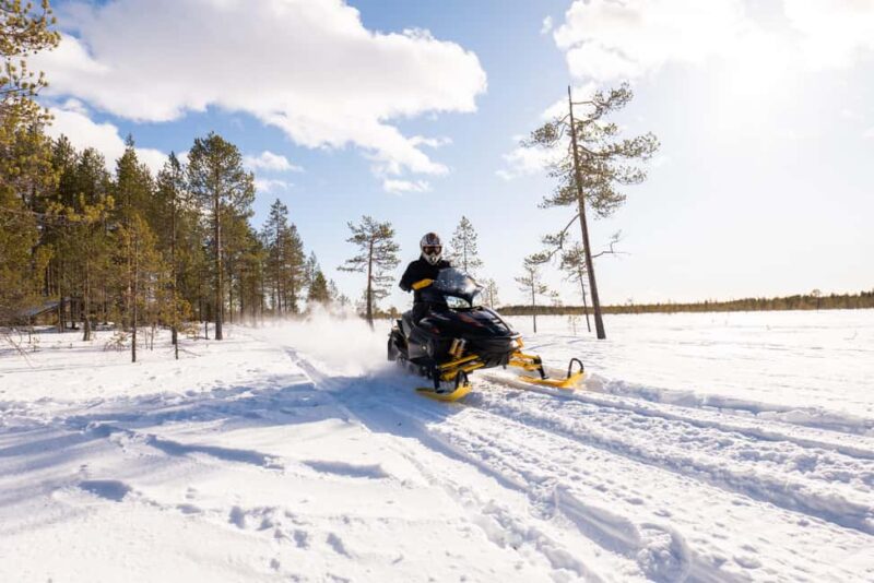 Ranua: Snowmobile Safari with Hot Drink - Key Points