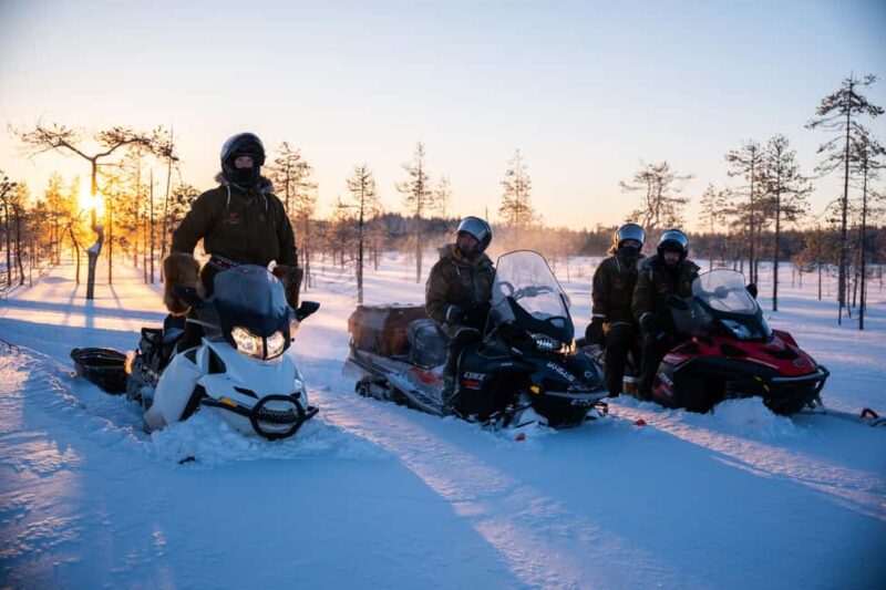 Ranua: Snowmobile Safari with Hot Drink - Learning the Basics with a Professional Instructor