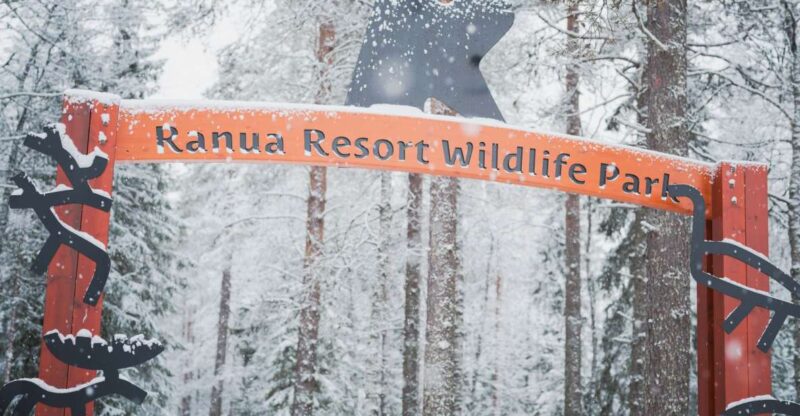 Ranua Wildlife Park Day: Visit the Arctic Animals - Pricing and Value