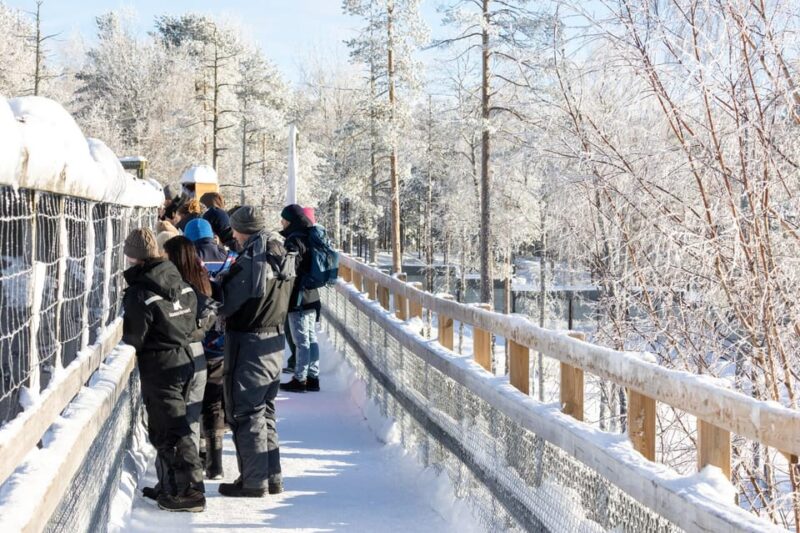 Ranua: Wildlife Park Entrance Ticket - Limitations and Considerations