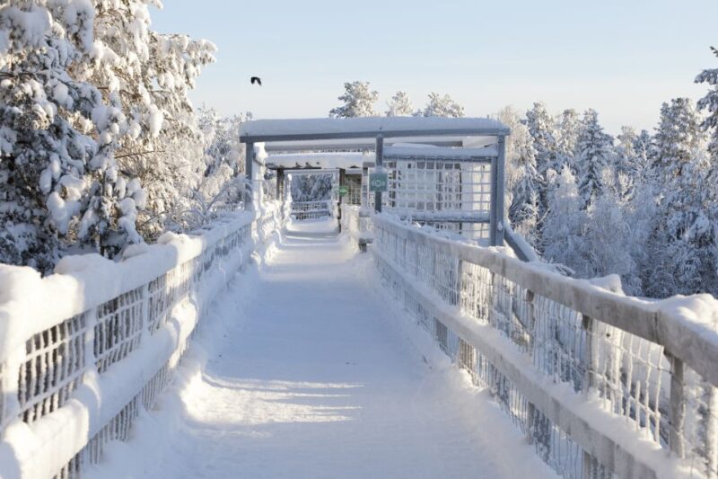 Ranua Wildlife Park Guided Tour from Rovaniemi, With Lunch - Lunch and Sweets: Resting in the Park’s Restaurant and Fazer Shop