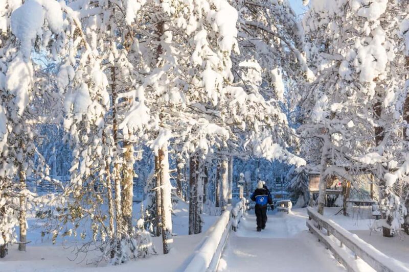 Ranua Wildlife Park & Lupland Activity Park from Rovaniemi - The Unique Experience of Reindeer Encounters and Sami Culture