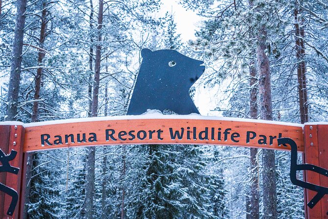 Ranua Wildlife Park Photography Tour - Timing, Pacing, and Tour Logistics