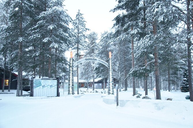 Ranua Zoo- Guided day tour from Rovaniemi - Easy Access and Flexible Cancellation Policy