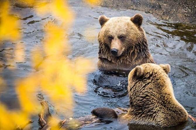 Ranua Zoo- Guided day tour from Rovaniemi - What to Prepare for the Arctic Conditions