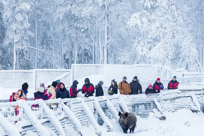 Ranua Zoo Tour (private service) - The Guide Behind the Tour: Why It Stands Out