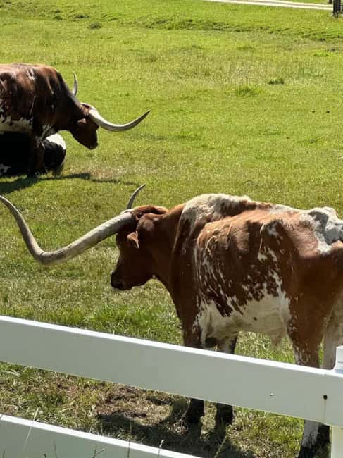 Rapid City: Black Hills Tour with Monument Tour - Explore the Black Hills on a Guided Day Trip from Rapid City