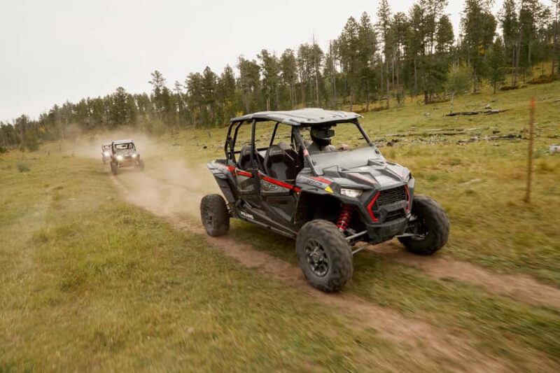 Rapid City: Cement Ridge Lookout UTV Adventure - Explore the Black Hills with a Self-Guided UTV Adventure from Spearfish Canyon Lodge