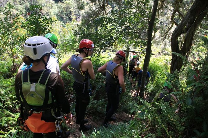 Rappel Maui Waterfalls and Rainforest Cliffs - Comparing Rappel Maui with Other Maui Adventures