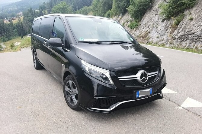 Ravenna city or Cruise Port to Bologna Airport(BLQ) - Departure Private Transfer - Who Will Benefit Most from This Service?