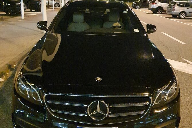 Ravenna City or Cruise Port to Venice Airport (VCE) -Departure Private Transfer - Who Would Benefit Most from This Transfer Service