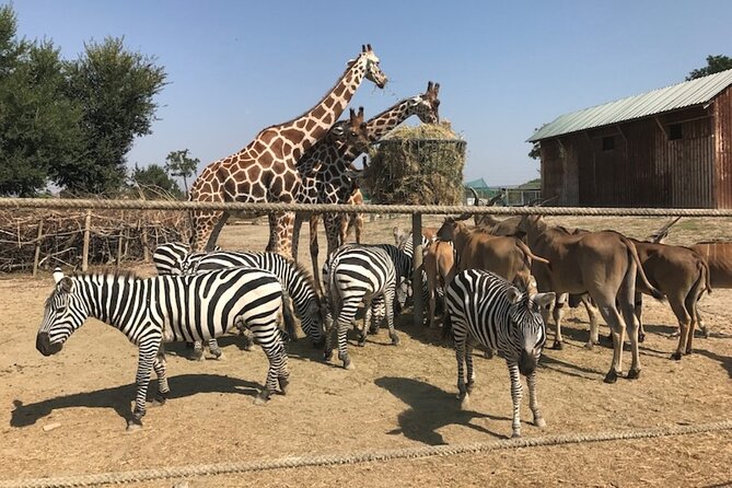 Ravenna: Safari Ravenna entrance ticket - Key Points