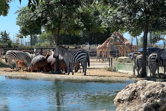Ravenna: Safari Ravenna entrance ticket - Animal Treatment and Park Organization