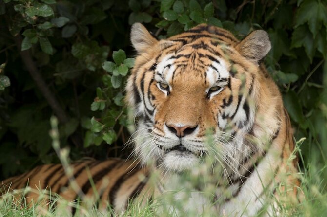 Ravenna: Safari Ravenna entrance ticket - Flexibility and Cancellation Policy