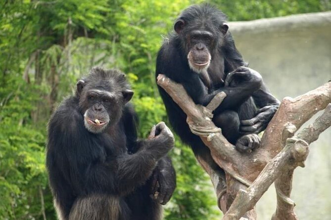 Ravenna: Safari Ravenna entrance ticket - Final Thoughts: A Unique Wildlife Encounter in Ravenna