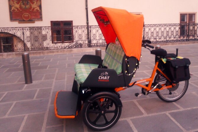 RAXI (E-Rickschaw) big private Vienna tour - Enjoy a Tour with Easy Accessibility and No Physical Strain