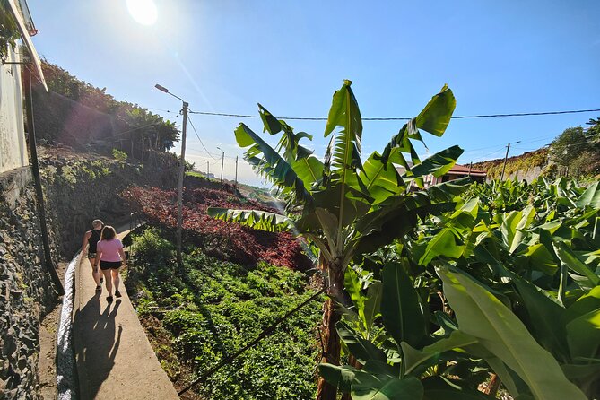 Real Life, Mountains & Sea Cliffs (Nun´s Valley View) - Half Day 4x4 Tour - Local Tastings and Rest Stops