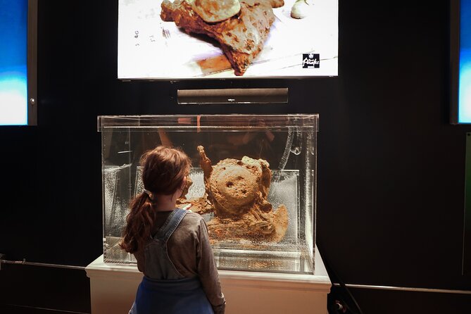 Real Pirates Salem Museum with Guided Directors Tour - The Guided Tour Experience and Guide Profiles