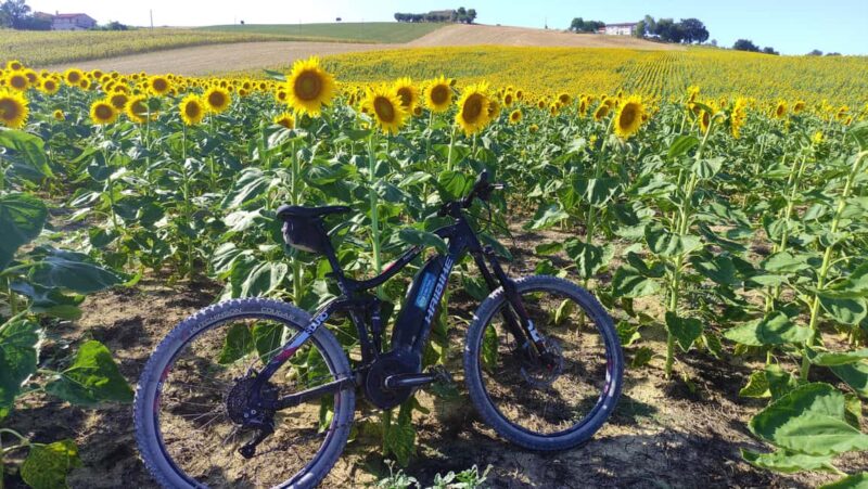 Recanati: discover the hills of infinity by E-Bike - Practical Details and Equipment
