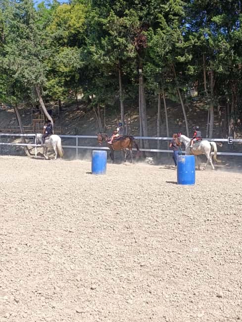 Recanati: Horse riding lessons for kids and adults - Key Points