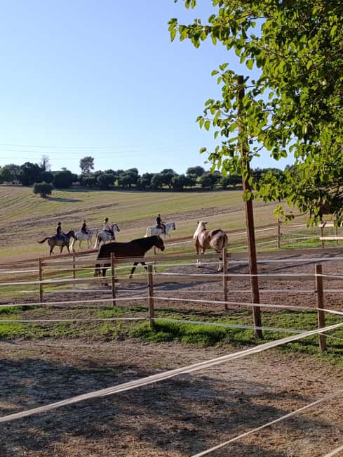 Recanati: Horse riding lessons for kids and adults - Meeting Point at the Recanati Riding School