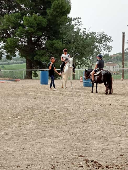 Recanati: Horse riding lessons for kids and adults - Learning Horse Care and Handling in a Natural Environment
