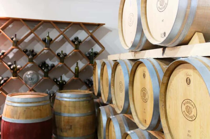 Recorrido + 3 vinos + Maridaje/Tour + 3 wines + Cheese board - Discover the Heart of Chihuahua’s Winemaking at Bodegas Pinesque