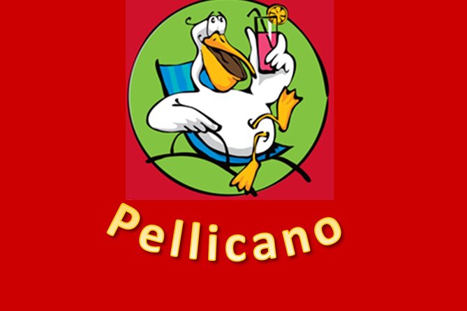 Red Boat Tours - Dolphin Odyssey and Sightseeing Tour - Additional Amenities and Comfort