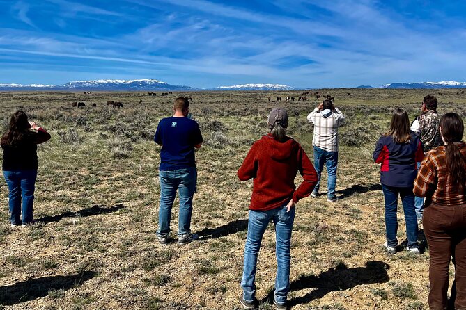 Red Canyon Wild Mustang Tours And Safaris In Cody Wyoming - Scenic Terrain and Landscape Highlights