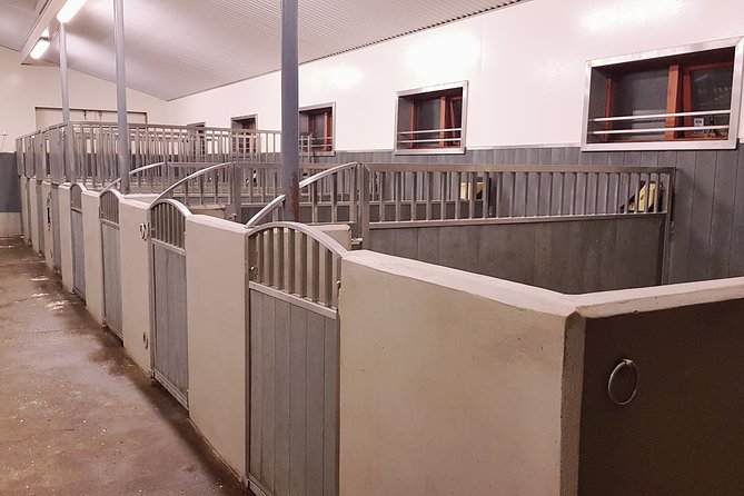 Red Lava Horse Riding Tour From Reykjavik - The Scenic Paths and Natural Settings