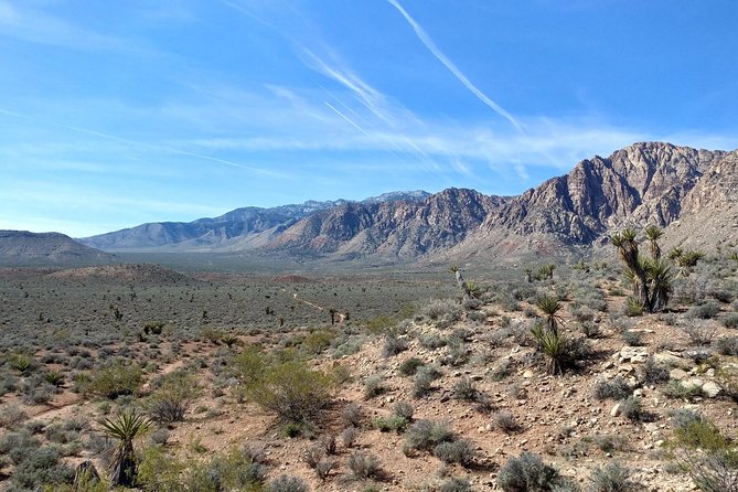 Red Rock Canyon Hike with Transport from Las Vegas - The Experience at Red Rock Scenic Loop Entrance