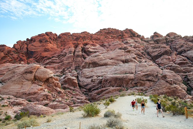 Red Rock Canyon Hike with Transport from Las Vegas - Tour Reviews and What Makes It Stand Out