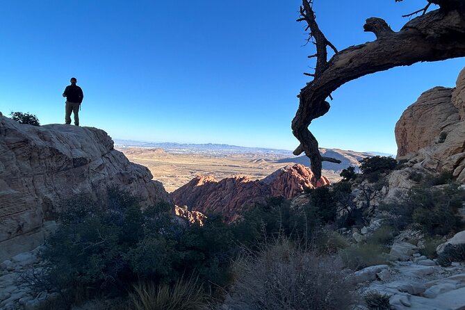 Red Rock Canyon Hiking Adventure fom Las Vegas - Expert Guides with Local Knowledge