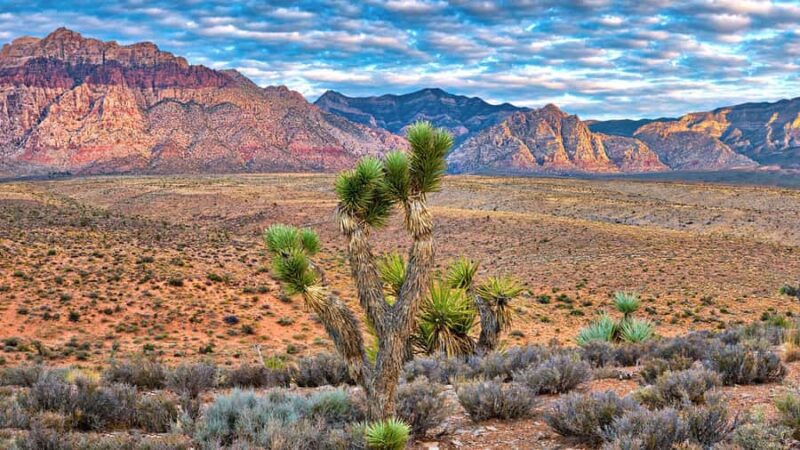 Red Rock Canyon, Seven Magic Mountains, Nelson Ghost Town - The Surprise Scenic Viewpoint in the Mojave Desert