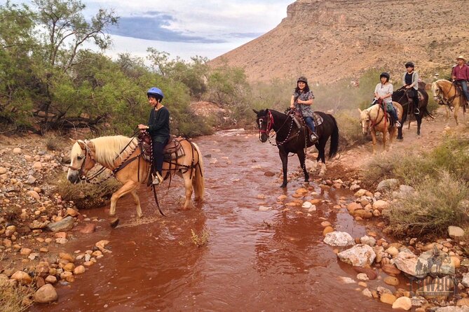Red Rock Canyon Sunset Horseback Ride and Barbeque Dinner - Family-Friendly Experience with Safety Measures