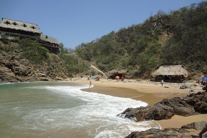 Rediscover Nature Adult Beach Experience - Practical Tips for Visiting Zipolite on the Tour