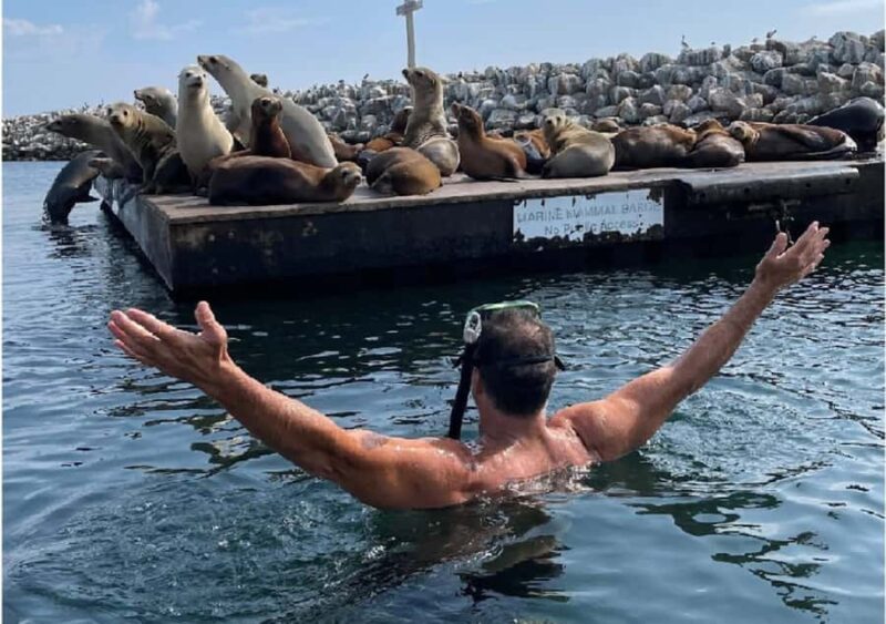 Redondo Beach: Kayak & Snorkel with Sea Lions Tour - Who Should Consider This Tour