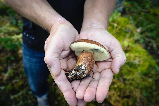 Redrib Cottage Locals Experience - Key Points