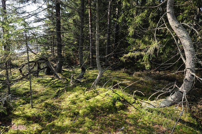 Redrib Cottage Locals Experience - Guided Nature Walk and Local Stories