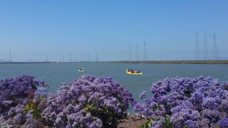 Redwood City: Kayak Rental - Key Points