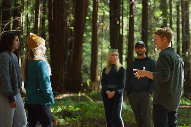 Redwoods Forest Bathing - Explore Santa Cruz’s Towering Redwoods on a Guided Forest Bathing Tour