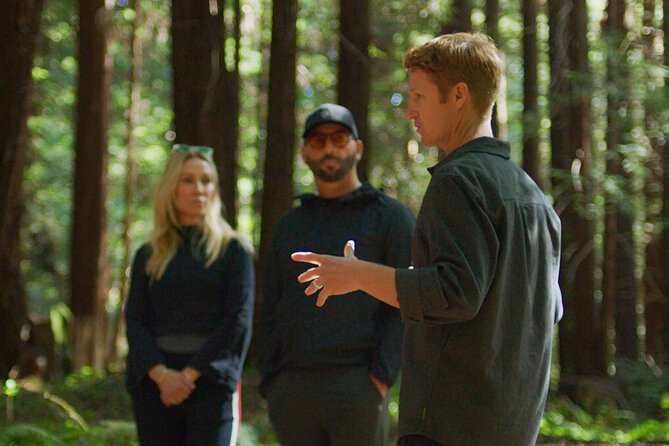 Redwoods Forest Bathing - Discover the Unique Setting of Nisene Marks State Park