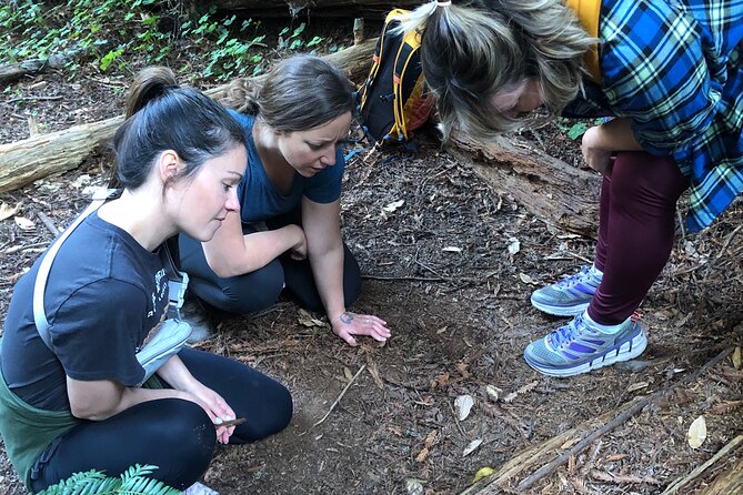 Redwoods Forest Bathing - Meeting Point and Accessibility Details