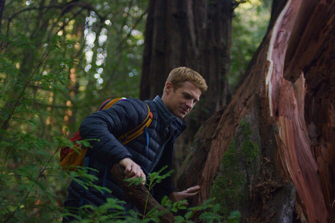 Redwoods Forest Bathing - Why This Tour Stands Out Among Similar Experiences