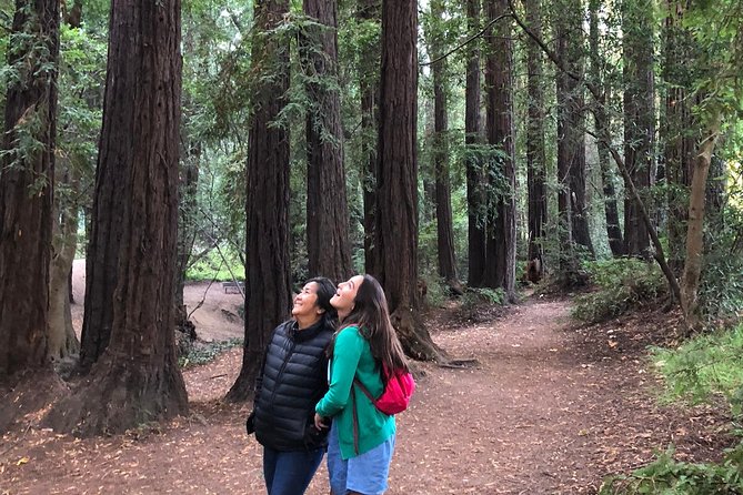 Redwoods of Marin and Mt. Tamalpais Walking Tour with Local Guide - The Beauty of Redwoods and Waterfalls