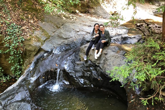 Redwoods of Marin and Mt. Tamalpais Walking Tour with Local Guide - Practical Tips for a Smooth Experience